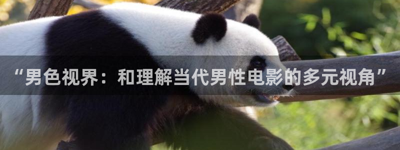 51视频网在线观看：“男色视界：和理解当代男性电影的多元视角”