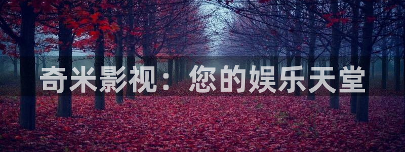 51视频观看黄色精品：奇米影视：您的娱乐天堂