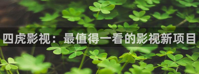 51视频官方版下载安装：四虎影视：最值得一看的影视新项目
