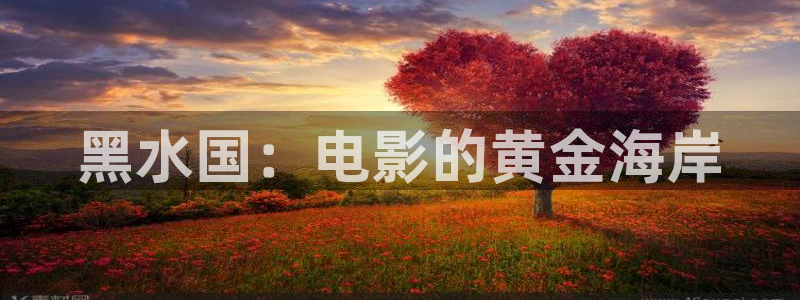 51视频免费播放：黑水国：电影的黄金海岸