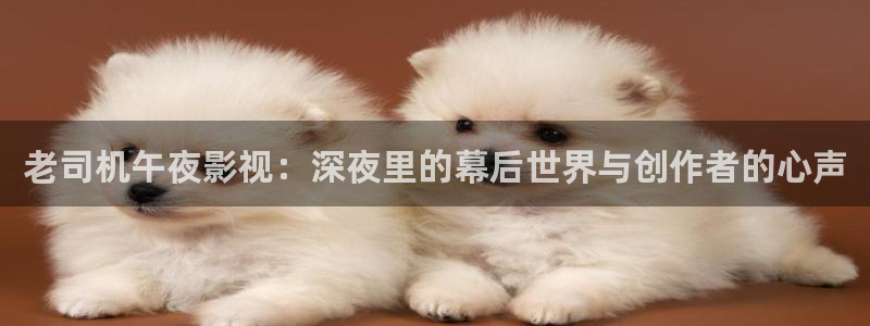 51视频网页版：老司机午夜影视：深夜里的幕后世界与创作者的心声