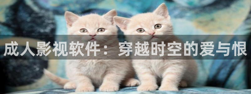 51视频在线入口：成人影视软件：穿越时空的爱与恨