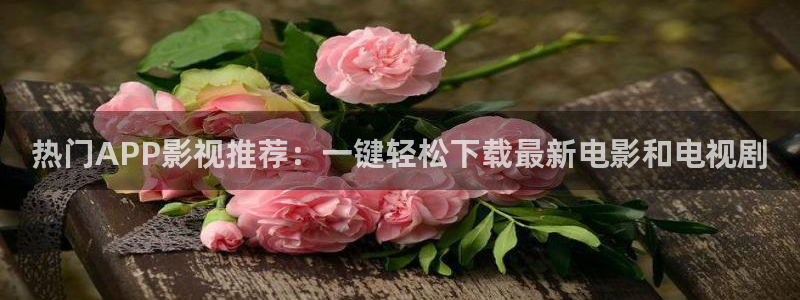 51视频在线：热门APP影视推荐：一键轻松下载最新电影和电视剧