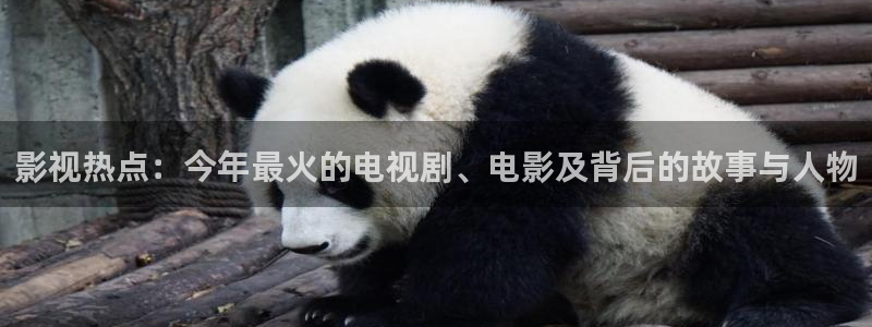 51视频免费在线播放：影视热点：今年最火的电视剧、电影及背后的故事与人物