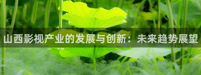 www.51视频：山西影视产业的发展与创新：未来趋势展望