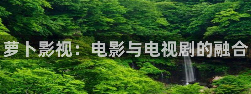 51视频.：萝卜影视：电影与电视剧的融合