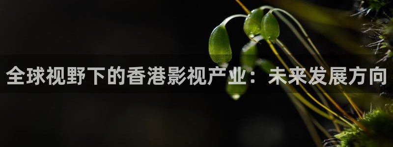 51视频免费看在线观看：全球视野下的香港影视产业：未来发展方向