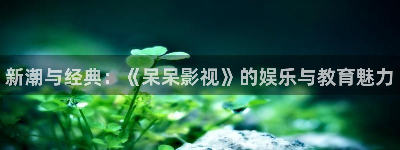 51视频网页：新潮与经典：《呆呆影视》的娱乐与教育魅力
