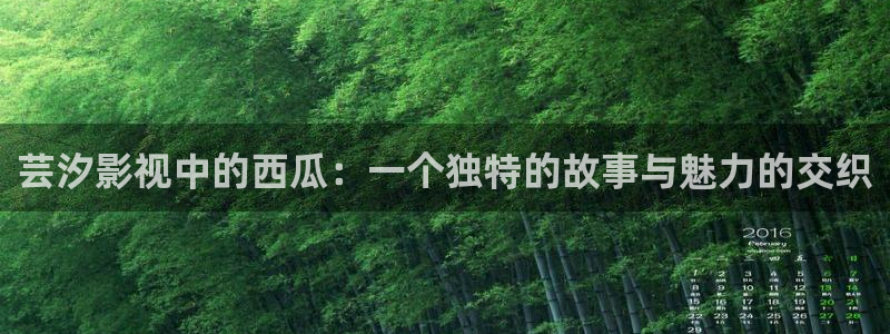 51视频软件：芸汐影视中的西瓜：一个独特的故事与魅力的交织